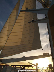 The beautiful Wind Surf. by Melanie Daneluk 